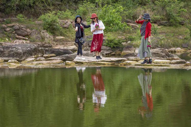 虫虫助手下载